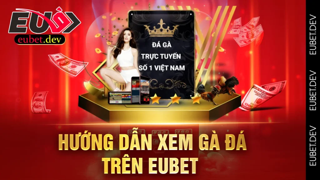 xem mạng gà đá eubet 01